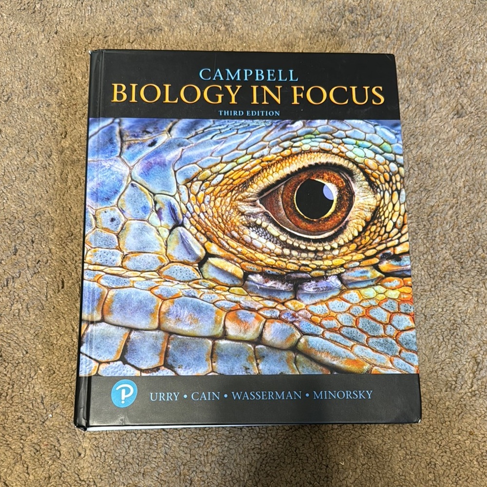 Black and Blue Reptile with Striking Eye Detail